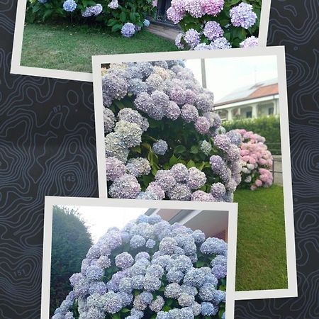 B&B L'Ortensia Vignolo ภายนอก รูปภาพ