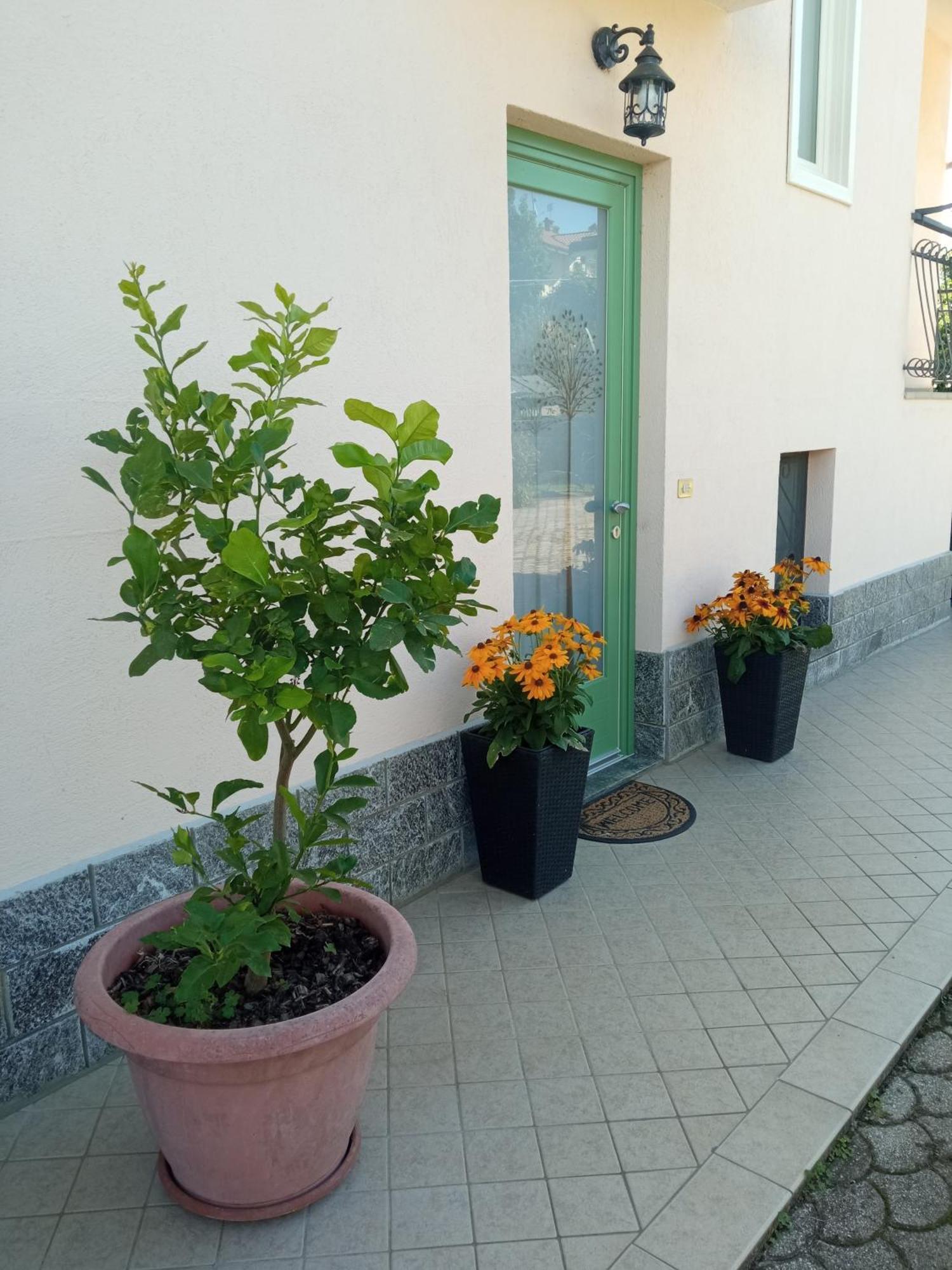 B&B L'Ortensia Vignolo ภายนอก รูปภาพ