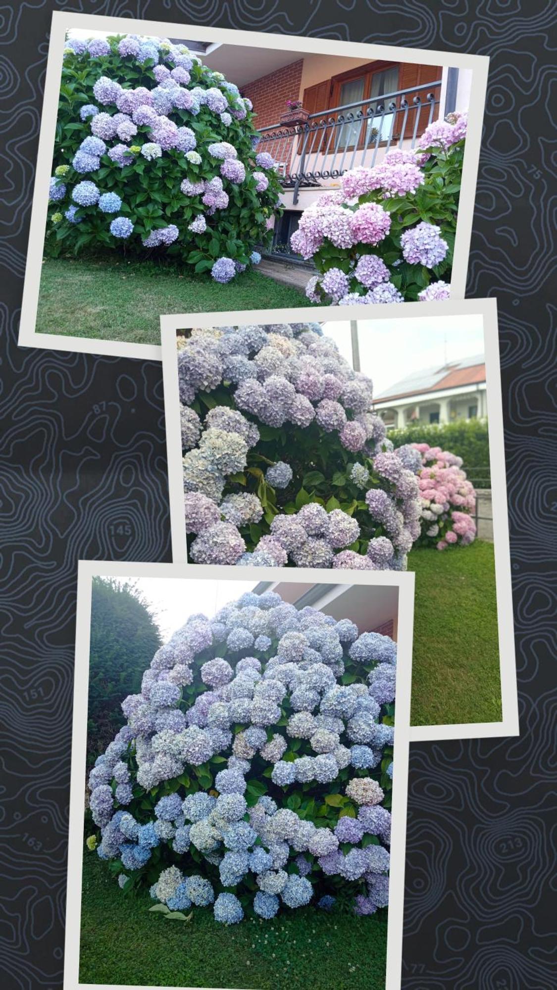 B&B L'Ortensia Vignolo ภายนอก รูปภาพ